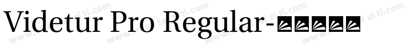 Videtur Pro Regular字体转换